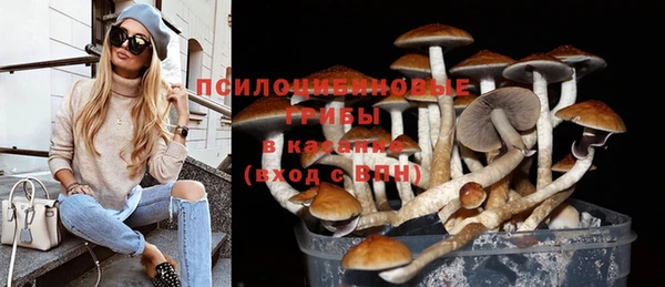 ешки Медногорск