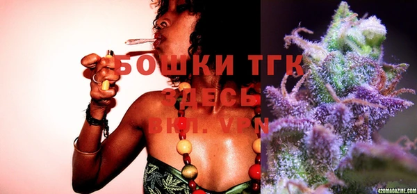 ешки Медногорск